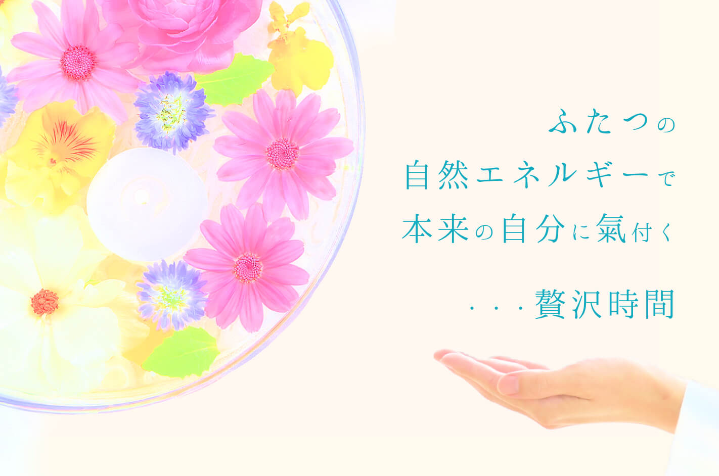 心も体も安らぐ癒され時間
